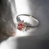 Kimberley | 'Pantai Merah' | Padparadscha Sapphire Halo Ring direct sunlight reflections view