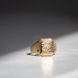 Byron Bay | Hammered Lines - Birthstone Signet Ring in sun