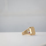 Byron Bay | Hammered Lines - Birthstone Signet Ring side view - ruby and citrine