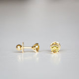 Byron Bay | Heart of the Sun Studs - Yellow Sapphires Front View