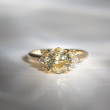 Byron Bay | "Versailles" | Canary Yellow Ceylon Sapphire & Diamonds Ring front view closeup