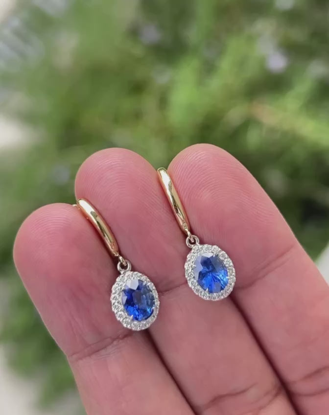 Indian Ocean | Azure - Cornflower Blue Ceylon Sapphires & Diamonds Earrings Video