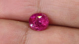 Video of 2.03Ct Hot Pink Sapphire | Oval Shape from Sri Lanka between fingers