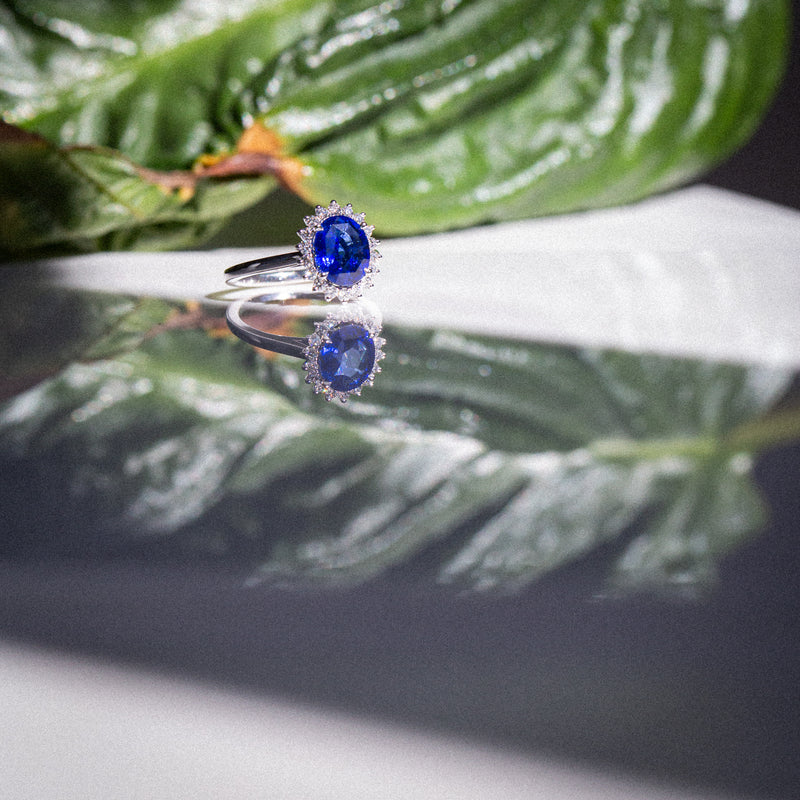 Princess Ring - Vivid Royal Blue 2.6Ct Ceylon Sapphire & Diamonds - reflections