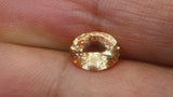 Video of Natural, rare 1.73Ct Peach Orange Padparadscha Sapphire | Oval Shape from Sri Lanka