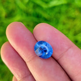 6.61Ct Blue Ceylon Sapphire | Oval Shape video