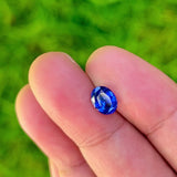 1.55Ct Intense Cornflower Blue Ceylon Sapphire | Oval Shape video