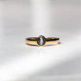 Daintree | Eye of the Tiger - Alexandrite Cat's Eye Ring Front View