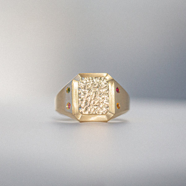 Byron Bay | Hammered Lines - Birthstone Signet Ring front view