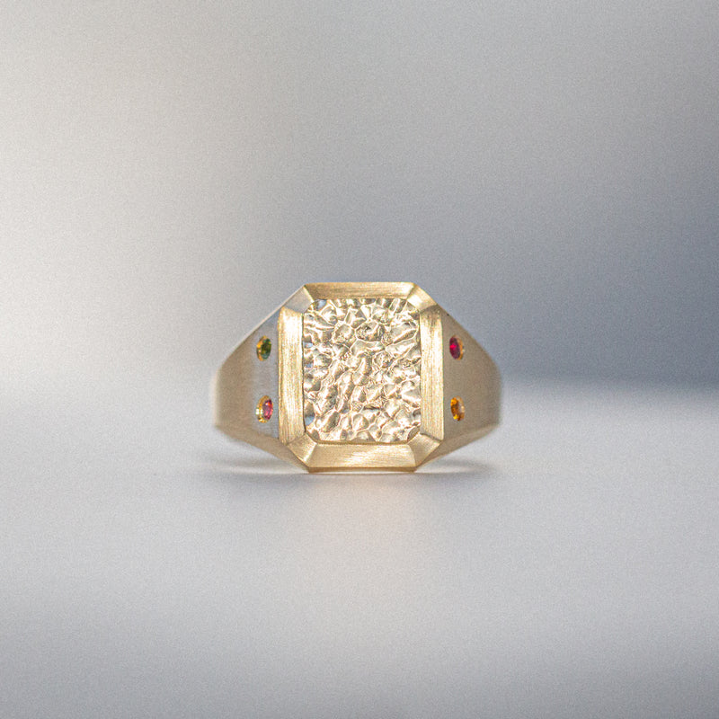 Byron Bay | Hammered Lines - Birthstone Signet Ring front view