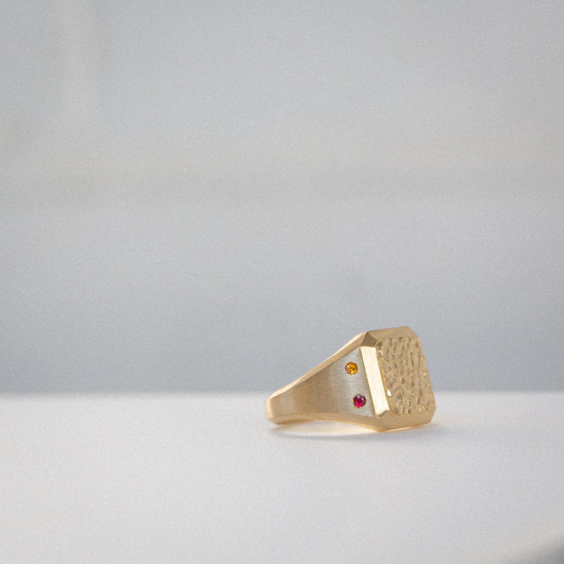 Byron Bay | Hammered Lines - Birthstone Signet Ring side view - ruby and citrine
