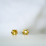 Byron Bay | Heart of the Sun Studs - Yellow Sapphires Closeup view