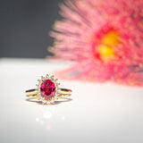 Kimberley | Wildflower - Reddish Pink Burmese Spinel & Diamonds Halo Ring sunlight