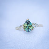 Daintree | "Eucalyptus in the wind" | Parti Australian Sapphire & Diamonds Trilogy Ring front view