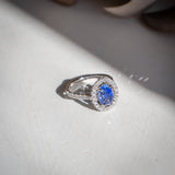 Indian Ocean | Floating Halo - Velvet Blue Sapphire Ring side view
