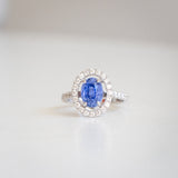 Indian Ocean | Floating Halo - Velvet Blue Sapphire Ring front view