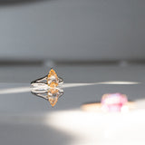 Byron Bay | Winter Sun | Apricot Yellow Solitaire in sun direct