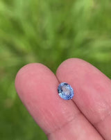 1.1Ct Blue Ceylon Sapphire | "Rainbow on a mountain, frozen in time" video
