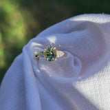 Daintree | "Fern Forest" | Parti Australian Sapphire & Natural Diamonds Trilogy Ring video