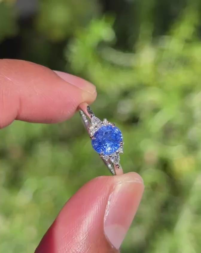 Indian Ocean | Cornflower Blue Cluster - Sapphire & Diamond Cluster Ring sunlight video 2