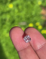 2.13Ct Fancy Pastel Pink Ceylon Sapphire | Cushion Shape Video Sunlight