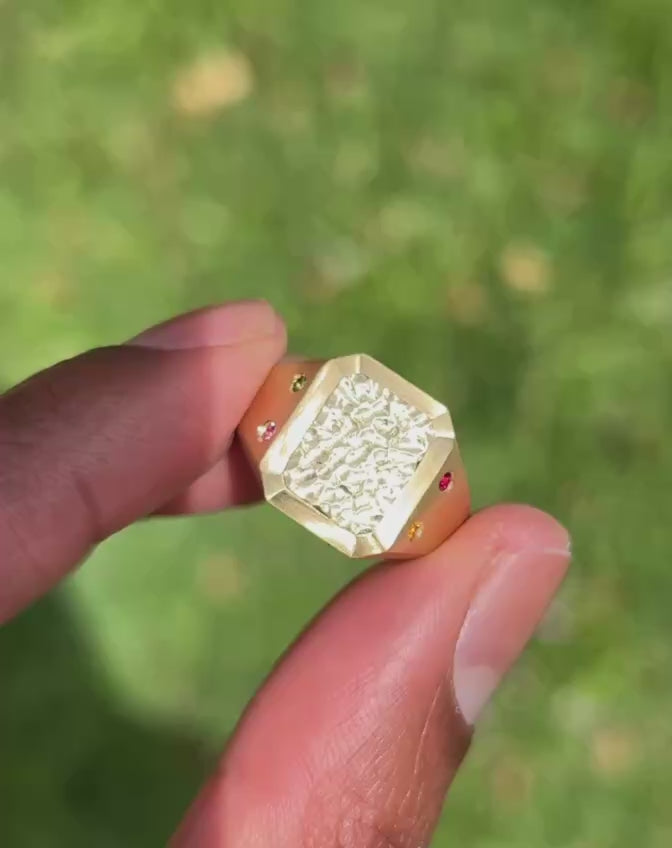 Byron Bay | Hammered Lines - Birthstone Signet Ring video sunlight