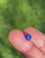 1.28Ct Royal Blue Ceylon Sapphire | Round Shape video