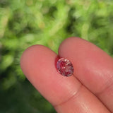 1.51Ct Sunset Pinkish Orange Padparadscha Sapphire | "Masai Mara Sunset" | Oval Shape video