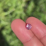 1.15Ct Orangish Pink Padparadscha Madagascan Sapphire | Round Shape video