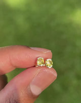 Byron Bay | Heart of the Sun Studs - Yellow Sapphires Video