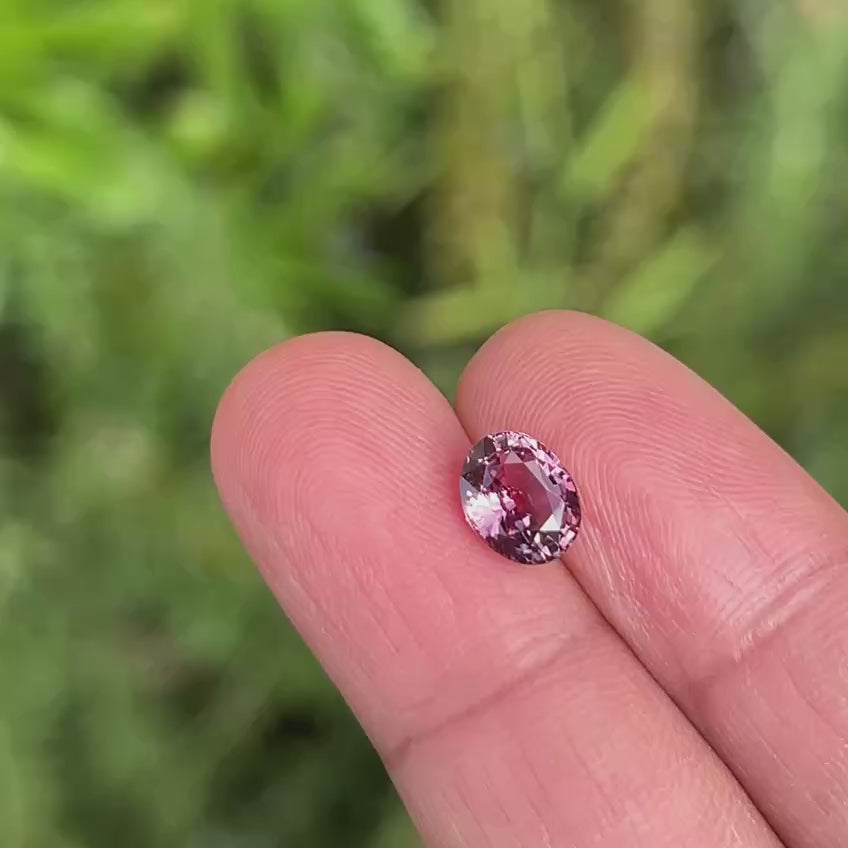 2.07Ct Purplish Pink Madagascan Sapphire | Oval Shape video