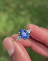 Indian Ocean | Soft Velvet - Velvet Blue Ceylon Sapphire Ring sunlight video