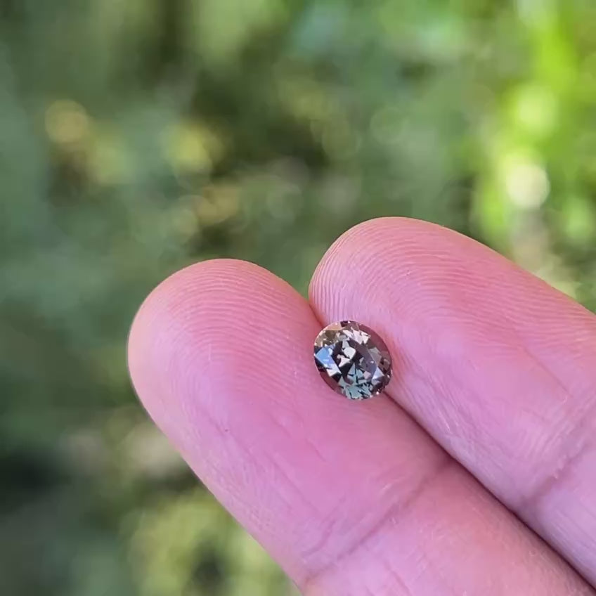 1.16Ct Greenish Orange to Pink Colour Change Sapphire | 'Panther Chameleon' | Oval Shape daylight video