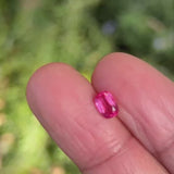 0.7Ct Neon Reddish Pink Mahenge Spinel | Cushion Shape video