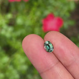 1.52Ct Green-Yellow- Blue Australian Parti Sapphire | Oval Shape video
