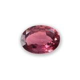 1.52Ct Reddish Orange Sunset Padparadscha Sapphire | Oval Shape from Sri Lanka