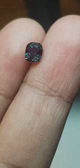 1.04Ct Green - Purple Red Alexandrite | Cushion Shape