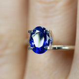 1.55Ct Intense Cornflower Blue Ceylon Sapphire | Oval Shape closeup