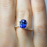 2.56Ct Vivid Blue Ceylon Sapphire | Cushion Shape