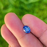 1.58Ct Sweet Blue Ceylon Sapphire | Oval Shape video