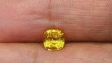 1.02Ct Vivid Yellow Sapphire | Cushion Shape