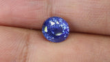 Video of Beautiful 2.52Ct Cornflower Blue Sapphire | Oval Shape from Sri Lanka between fingers
