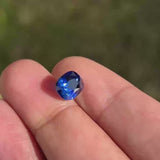 Sunlight- horizontal - 3Ct Cushion Royal Blue 
