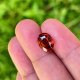 4.3Ct Deep Orange Brown Hessonite "Cinnamon" Garnet | Oval Shape video