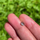 1.04Ct Green-Orange Red Cats Eye Ceylon Alexandrite | Oval Shape video